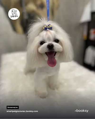SmartPet - Giszowiec - Salon Pielęgnacji Zwierząt